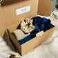 Coffret cadeau femme comprenant deux foulards en jersey beige et marine avec lot de chouchous en satin premium assortis.